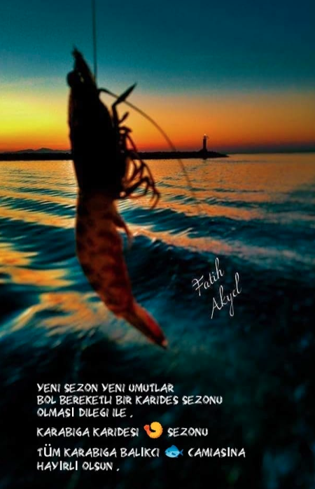 15 Mayıs'ta Karabiga Jumbo Karides Av Sezonu Acılıyor